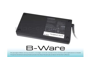 NTL30R Chargeur 300 watts grande b-stock