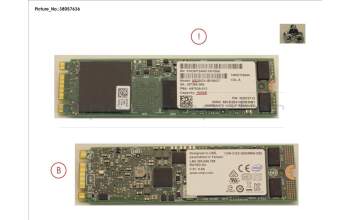 Fujitsu SSD SATA 6G 150GB M.2 N H-P pour Fujitsu Primergy RX2540 M4
