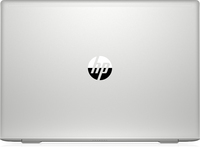 HP ProBook 450 G6 (6HM70ES)