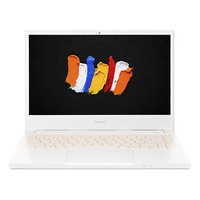 Acer ConceptD 3 (CN314-72G)