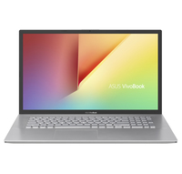 Asus Business P1701CEA
