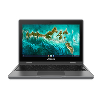 Asus Chromebook CR1 CR1100FKA