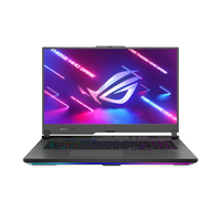 Asus ROG Strix G17 G713PV