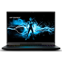 Medion Erazer Beast X40e (GM7IX7N)