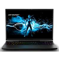 Medion Erazer Beast X40 (GM7IX9N)