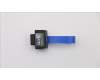 Lenovo CARDPOP Virtual RAID On CPU VROC Basic pour Lenovo ThinkStation PX (30EV)