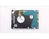 Lenovo 01FR404 HDD Storage,HDD,500G,7200,7mm,SATA,ST