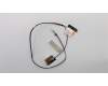 Lenovo ANTENNA Jinn FRU WLAN Antenna Kit pour Lenovo ThinkPad E580 (20KS/20KT)