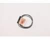 Lenovo ANTENNA FRU Antenna Aux pour Lenovo ThinkPad 11e 5th Gen (20LR/20LQ)