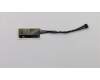 Lenovo ANTENNA NFC,Antenna,MURATA pour Lenovo ThinkPad T470 (20JM/20JN)