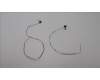 Lenovo ANTENNA ANTENNA,WLAN,ASM,AMP pour Lenovo ThinkPad T14 Gen 1 (20S0/20S1)
