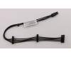 Lenovo CABLE FRU, Option Bay Power (1 cab pour Lenovo ThinkStation P920