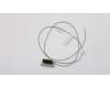 Lenovo CABLE Fru, 780mm M.2 front antenna pour Lenovo S200 (10HQ/10HR)