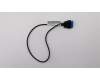 Lenovo Fru,360mm wifi bluetooth cable pour Lenovo ThinkStation P920