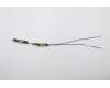 Lenovo ANTENNA Antenna W 81TE pour Lenovo Yoga C940-15IRH (81TE)