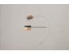 Lenovo ANTENNA Antenna W 82RA MAIN+AUX pour Lenovo IdeaPad Flex 5-16IAU7 (82R8)