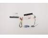 Lenovo ANTENNA FRU ANTENNA WLAN+WWAN AntennaASM pour Lenovo ThinkPad L14 Gen 2 (20X1/20X2)
