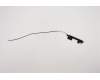 Lenovo ANTENNA FRU ANTENNA WLAN Antenna M+A AL pour Lenovo ThinkPad E15 Gen 2 (20TD/20TE)