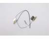 Lenovo ANTENNA M930_Wifi Antenna cable pour Lenovo M90a Desktop (11JX)