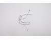 Lenovo ANTENNA FRU ANTENNA WLAN Antenna ASM pour Lenovo ThinkPad P15v Gen 1 (20TQ/20TR)