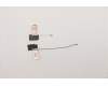 Lenovo ANTENNA WLAN Antenna cable Main+Aux WNC pour Lenovo ThinkPad X12 Detachable (20UW/20UV)