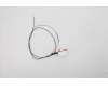 Lenovo ANTENNA T15G2_Antenna Kit WL GY_AL ICT pour Lenovo ThinkPad P15s Gen 2 (20W6/20W7)