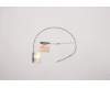 Lenovo ANTENNA ANTENNA ACCY KITS ANTENNA MIMO pour Lenovo P15 Gen 2 (20YQ/20YR)