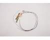Lenovo ANTENNA ACCY KITS ANTENNA WLAN+WWAN pour Lenovo P15 Gen 2 (20YQ/20YR)