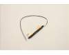 Lenovo ANTENNA FRU ANTENNA Mars3.0 AMD pour Lenovo ThinkPad E15 Gen 4 (21E6/21E7)