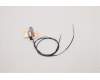 Lenovo ANTENNA ACCY KITS ANTENNA WLAN pour Lenovo ThinkPad T14s Gen 2 (20WM/20WN)