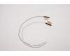 Lenovo ANTENNA ACCY KITS ANTENNA WLAN AL pour Lenovo ThinkPad T14s Gen 2 (20WM/20WN)