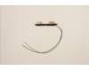 Lenovo ANTENNA FRU ANTENNA Mercury 3.0 AMD pour Lenovo ThinkPad E14 Gen 4 (21EB/21EC)