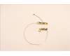 Lenovo ANTENNA ACCY KITS ANT WW AWAN JP610 pour Lenovo ThinkPad P16 Gen 1 (21D6/21D7)
