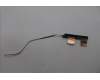 Lenovo ANTENNA FRU ANTENNA E16G2 MAIN + AUX pour Lenovo ThinkPad E16 Gen 2 (21MA)