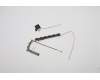 Lenovo ANTENNA WWAN ANT,CAT4/CAT12,LX1 pour Lenovo ThinkPad Yoga X13 Gen 2 (20W8/20W9)
