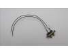 Lenovo ANTENNA Fru 2_in_1 SMA cable_LUX pour Lenovo ThinkCentre M70q Gen 6 (13HE)