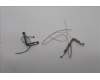 Lenovo ANTENNA KIT,Antenna,WWAN,AWAN pour Lenovo ThinkPad X1 Carbon Gen 13 (21NS/21NT)