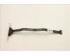 Lenovo CABLE Fru LPT Cble 300mm w_ ESD_ HP_TCO8 pour Lenovo ThinkCentre M70s Gen 3 (11TB)