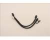 Lenovo CABLE Fru 250mm P520 refresh cable_TCO8 pour Lenovo Thinkstation P620 (30E0)