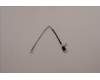 Lenovo CABLE FRU BL_Cable_LG_SSM1 pour Lenovo ThinkCentre M90a Gen 3 (11VG)