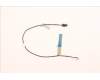 Lenovo CABLE M/B-MIC Cable pour Lenovo Neo 50a 24 Gen 4 (12K8)