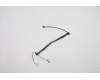Lenovo CABLE FR RG CAMERA Cable ASM pour Lenovo ThinkPad P14s Gen 2 (21A0/21A1)