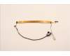 Lenovo CABLE H-CONN SET M/B-TS IR CAMERA TEFLON pour Lenovo ThinkPad P16 Gen 1 (21D6/21D7)