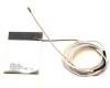 Acer ANTENNA.MAIN pour Acer Predator Helios 300 (PH317-52)