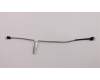 Lenovo CABLE Backlight cable for panel pour Lenovo ThinkCentre M920z