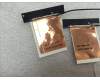Lenovo ANTENNA Antenna WLAN W Flex2-14 MAIN/AUX pour Lenovo IdeaPad Flex 2-14 (594x/80FJ)