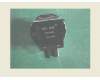 Asus POWER ADAPTER AU PLUG (BLK) pour Asus ZenBook UX301LA