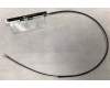 Asus C202XA ANTENNA 74.5*8.2*0.4MM pour Asus Chromebook C202XA
