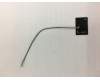 Asus G531 WI-FI ANT3 pour Asus ROG Strix SCAR III G531GW