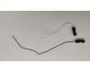 Asus W500G5T WIFI AUX ANTENNA pour Asus ProArt StudioBook Pro 15 W500GV